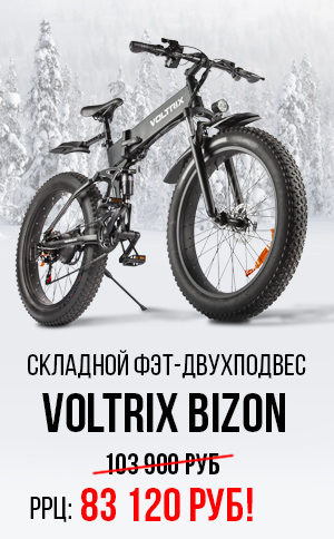 Voltrix Bizon