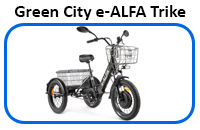 e-Alfa Trike