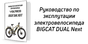 BigCat_NEXT_icon.jpg