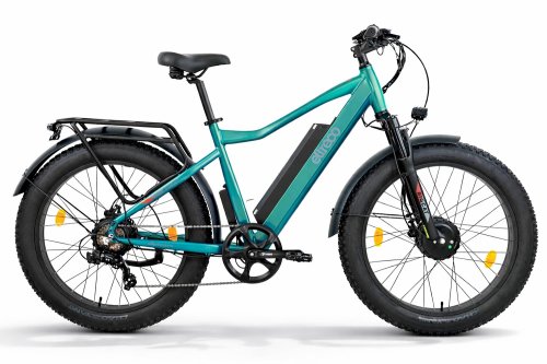 Электровелосипед Eltreco BigCat Dual Next