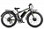 Велогибрид VOLTECO BIGCAT DUAL NEW (Черный-2307)