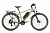 Электровелосипед Eltreco XT 850 (темно золотой глянец-3342)